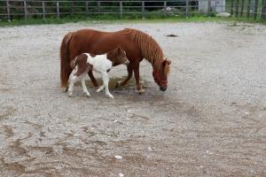 98190450_3075010239226999_6162893176265768960_o