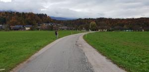 122856818_3540016822726336_4460333250945772207_o