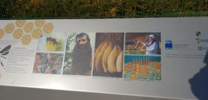 123105704_3545715668823118_6103262786342295570_o