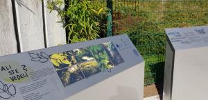 123134823_3545715885489763_2331417270675443137_o