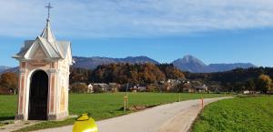 123309549_3553573624703989_5469577408380739150_o