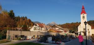 123360839_3553573668037318_8330373933240147977_o