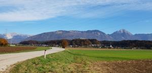 123370156_3553573778037307_3919925411096351381_o