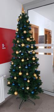 131225508_3662982833763067_8515933816420736981_o