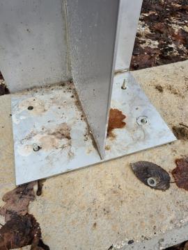 131546136_3678846932176657_6763540711666385797_n