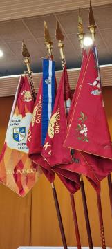 338549439_234718492364426_6535363485343689495_n