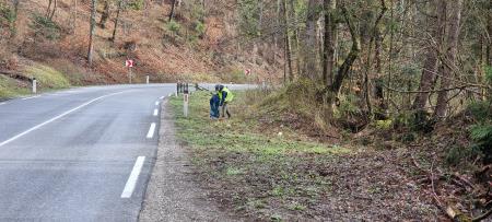 339292427_732033828463941_4007887901157517960_n